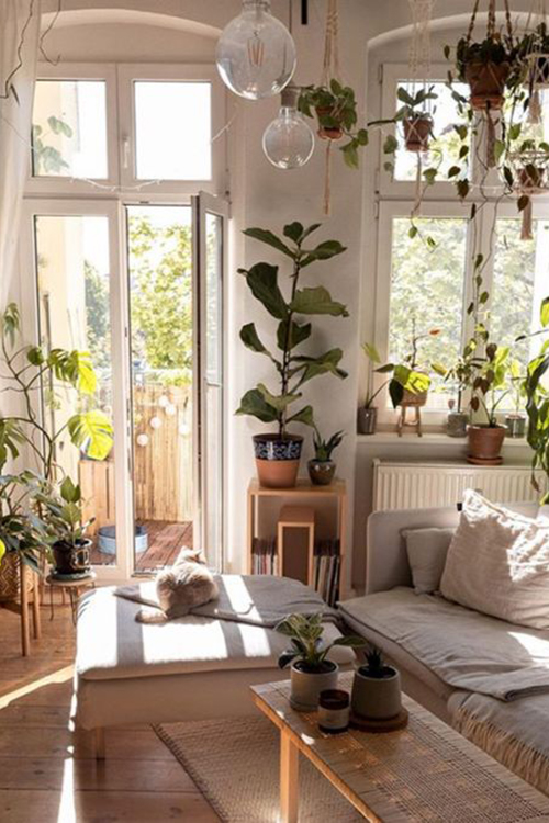 Benefits of having plants - Lounge