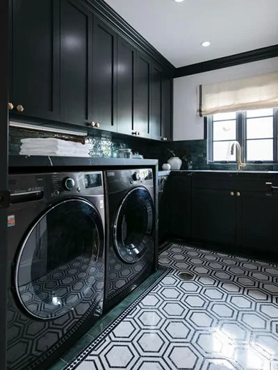 Dark Laundry Room Vibes: Moody, Fierce, and Totally Extra
